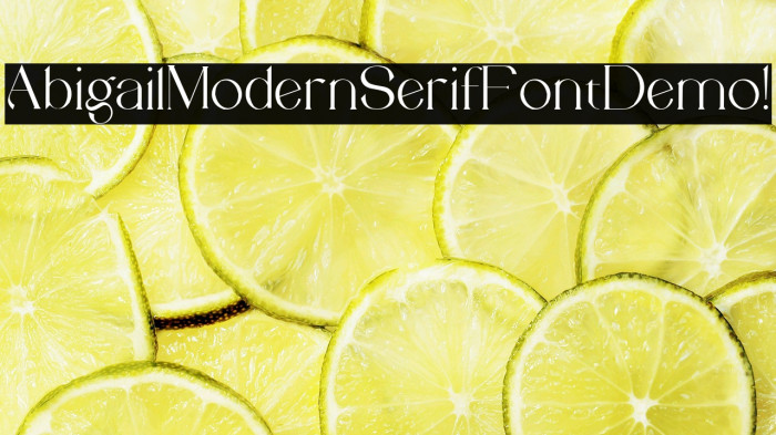 Abigail Modern Serif Font Demo ! Example 1