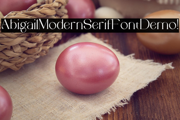 Abigail Modern Serif Font Demo ! Example 3