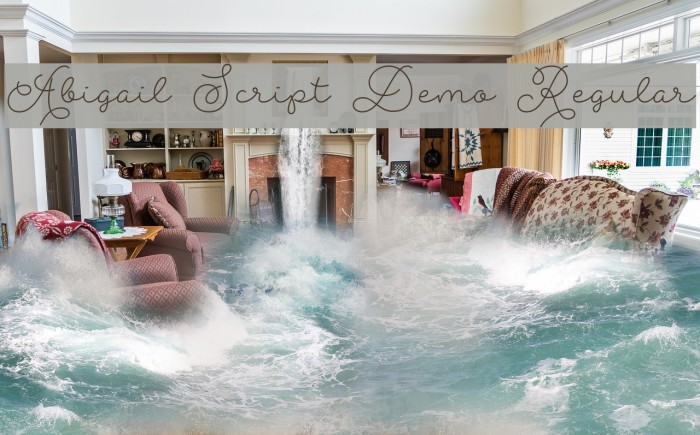 Abigail Script Demo Regular Font examples