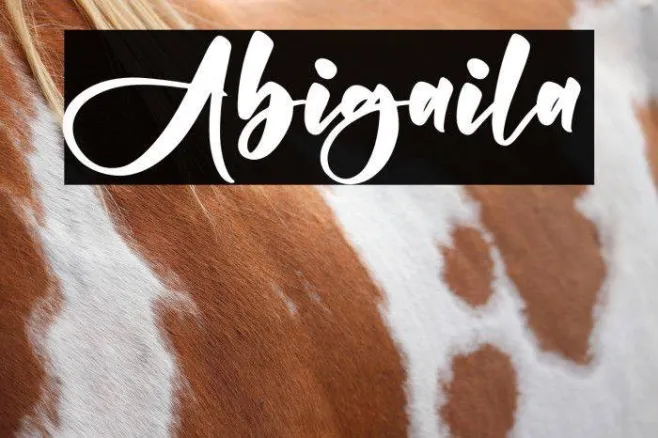Abigaila Example 2