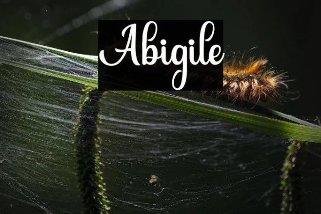 Abigile Example 1