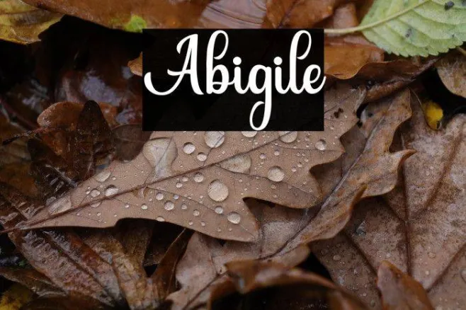 Abigile Example 2