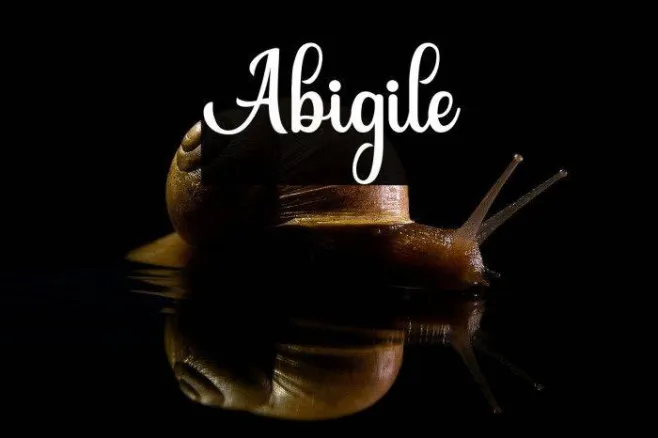 Abigile Example 3
