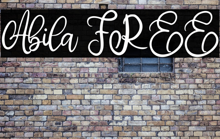 Abila FREE Example 2