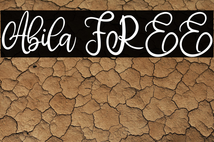 Abila FREE Example 3