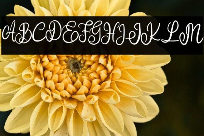 AbilaFREE Example 2