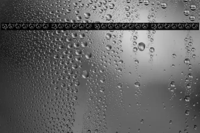 Abilane Flower Monogram Regular フォント examples