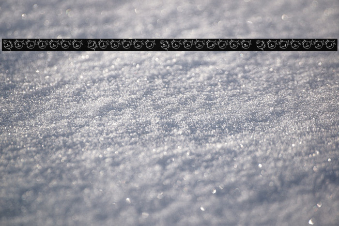 Abilane Flower Monogram Regular Example 2