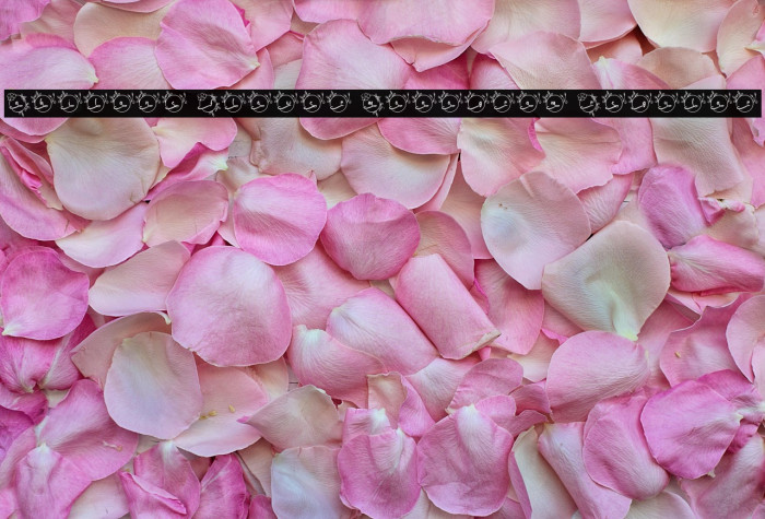 Abilane Flower Monogram Regular Example 3