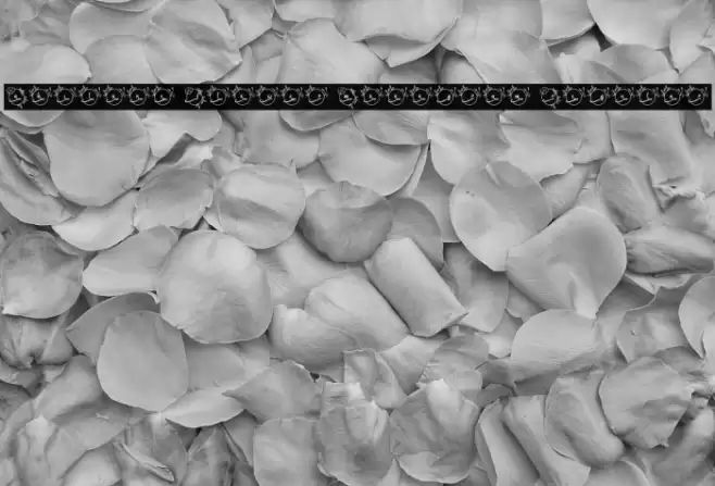 Abilane Flower Monogram Regular フォント examples