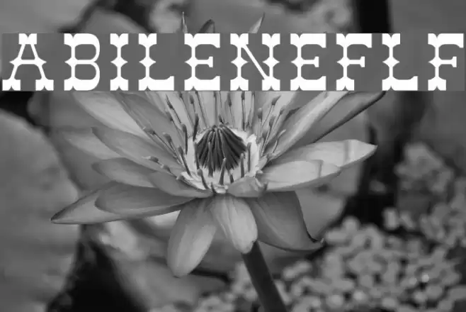 AbileneFLF Font examples