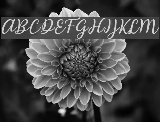 Abilya Font examples