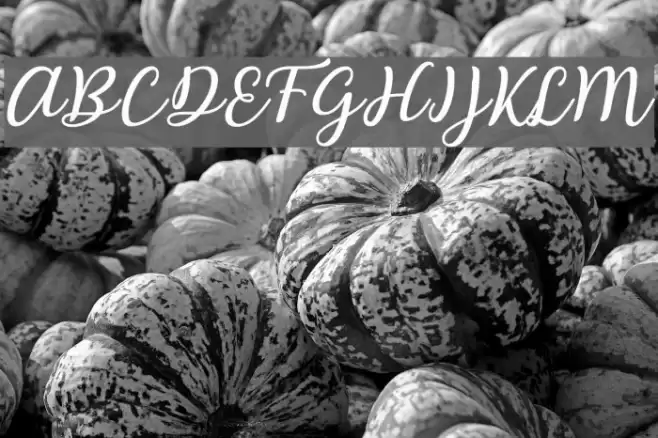 Abilya Font examples