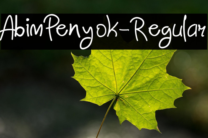 AbimPenyok-Regular Example 3