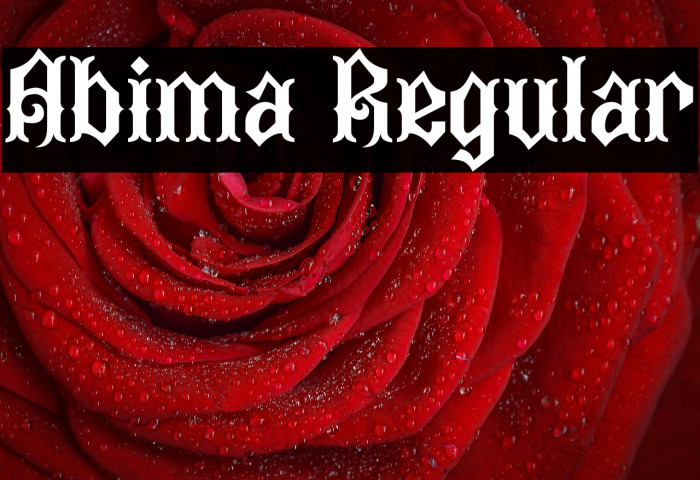 Abima Regular Example 1