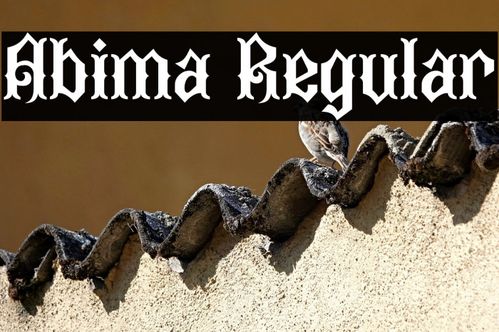 Abima Regular Example 2