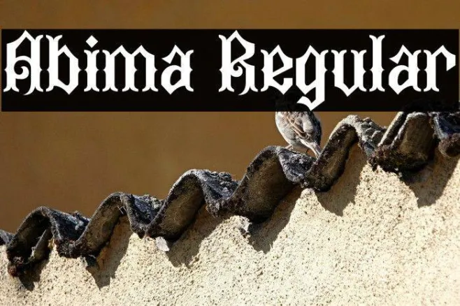 Abima Regular Example 2