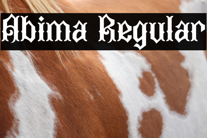 Abima Regular Example 3