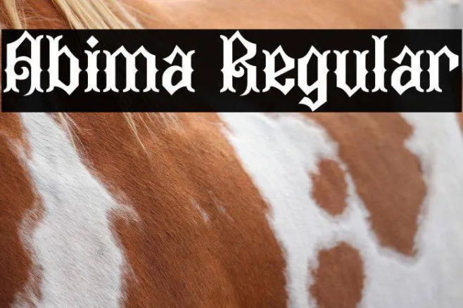 Abima Regular Example 3