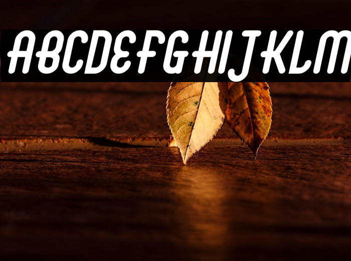 Abingdon Bold Italic Example 2