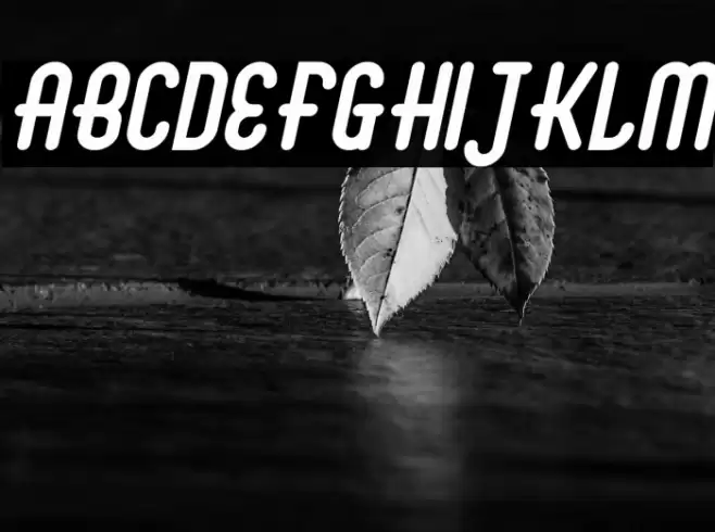 Abingdon Bold Italic Font examples