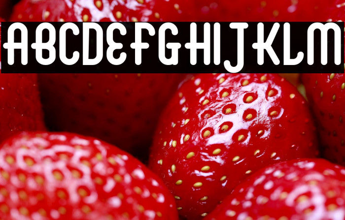 Abingdon Bold Example 3