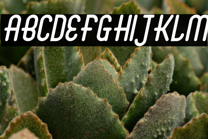 Abingdon Italic Example 1