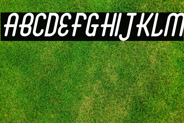 Abingdon Italic Example 3