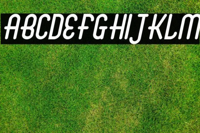 Abingdon Italic Example 3