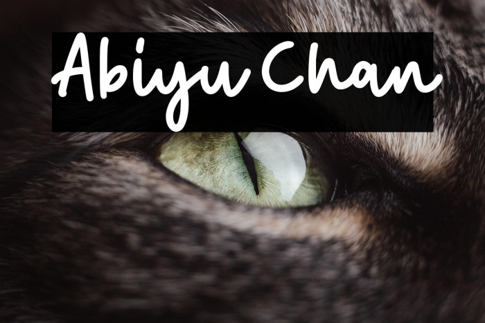 Abiyu Chan Example 1