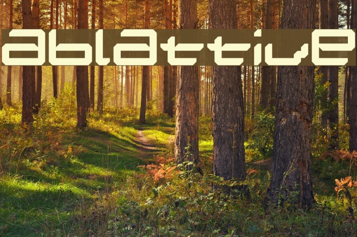 Ablattive Font examples