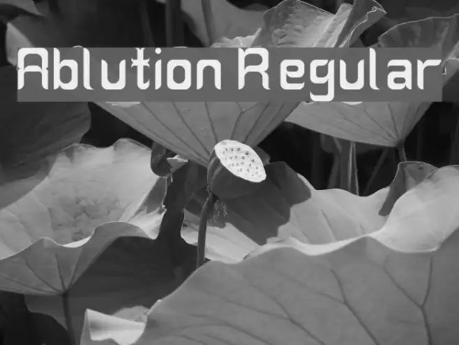 Ablution Regular Font examples