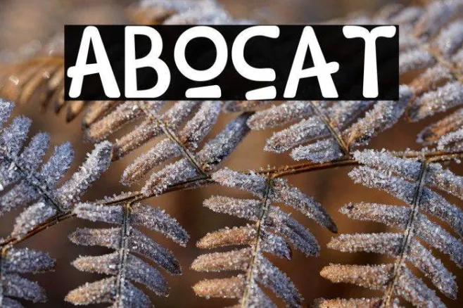 Abocat Example 2