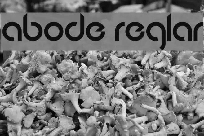Abode Regular examples
