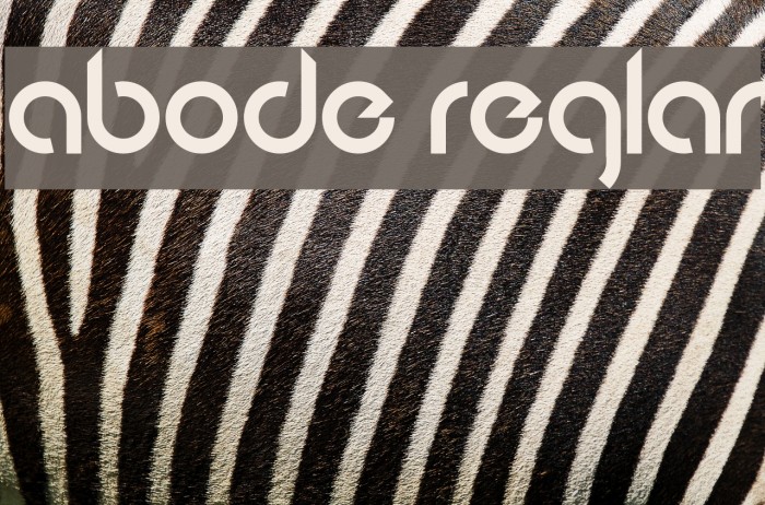 Abode Regular Font examples