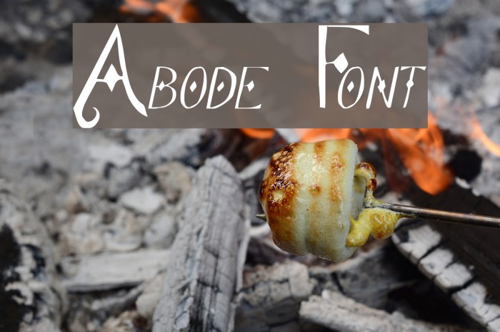 Abode Font examples
