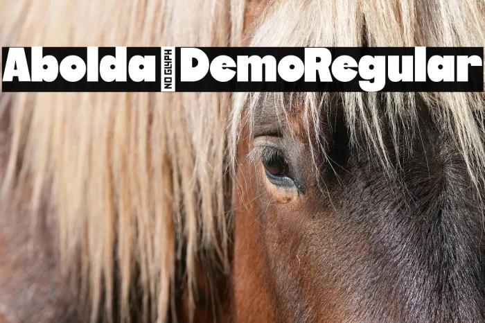Abolda-Demo Regular Example 2