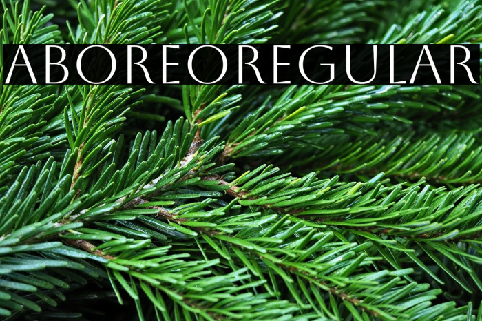 Aboreto Regular Example 2