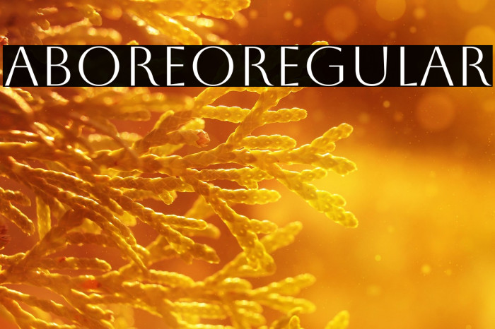 Aboreto Regular Example 3