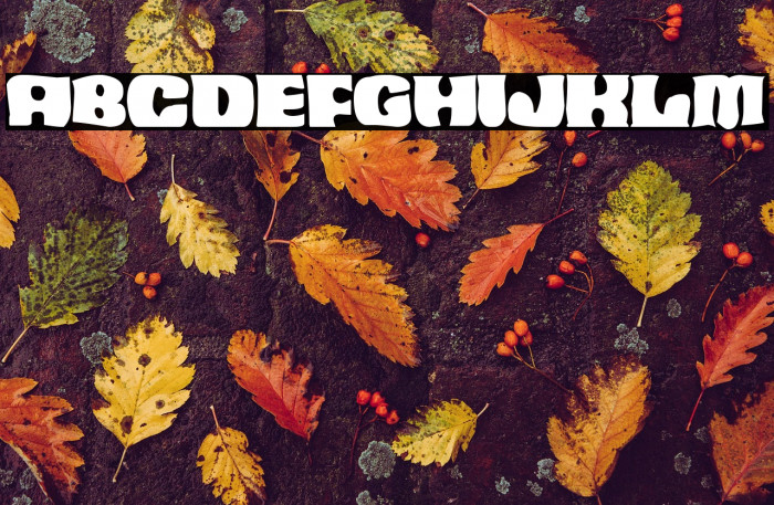 Aborto Espacial Example 1