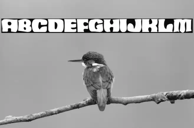 Aborto Espacial Font examples