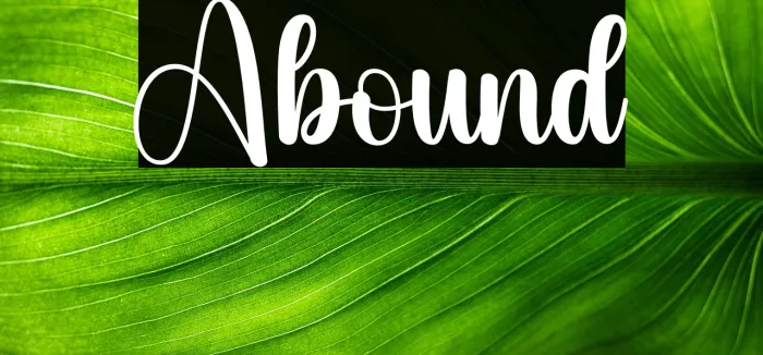 Abound Example 3