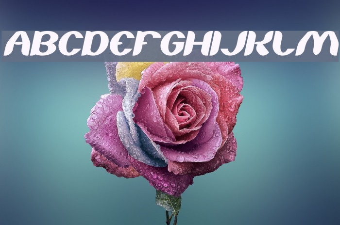 About you Italic Font examples