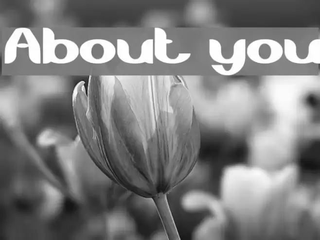 About you Font examples