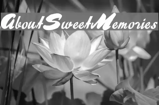 AboutSweetMemories Fonte examples