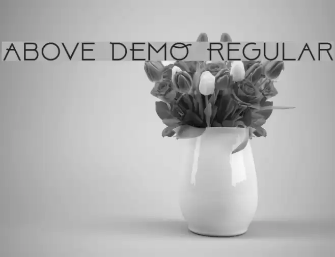Above DEMO Regular خط examples