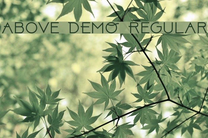 Above DEMO Regular Font examples