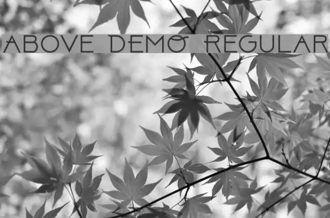 Above DEMO Regular خط examples
