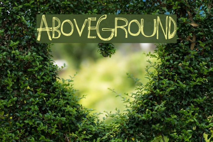 AboveGround Font examples
