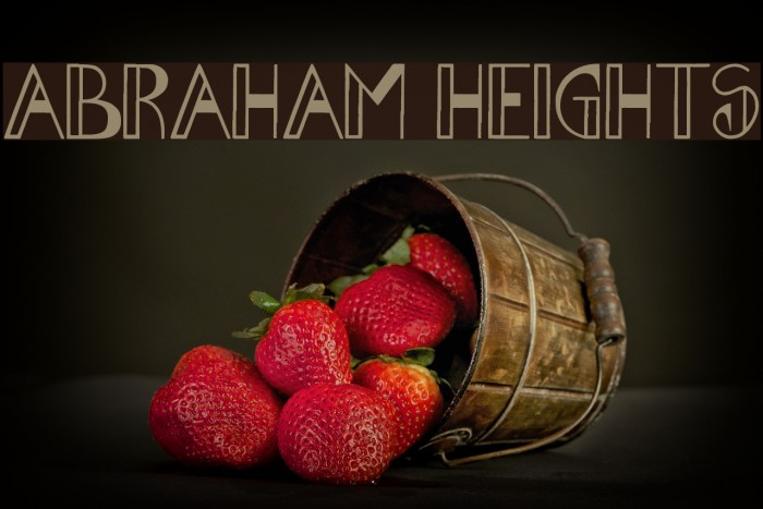 Abraham Heights Font examples